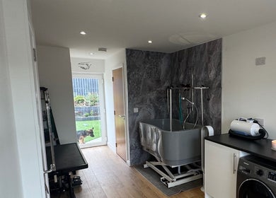 Modern grooming room at Zola’s Dog Grooming - Kirkcaldy, Scotland, GB, featuring a washing station and tools.