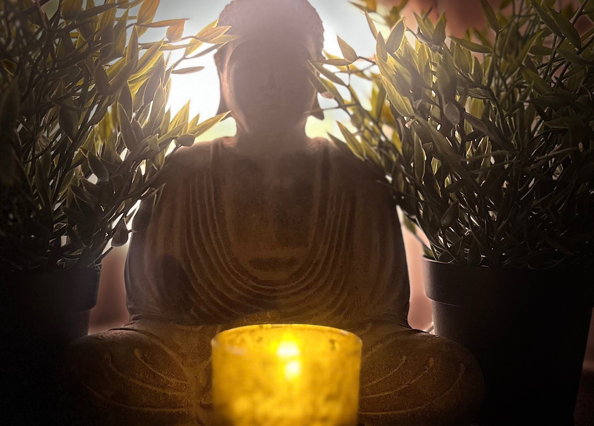 Peaceful candlelit Buddha statue surrounded by plants at Spa & Skin Lounge, Hastings, England, GB.