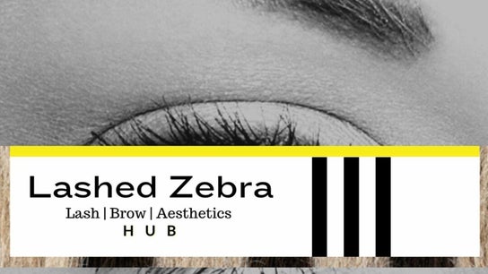 Lashed Zebra