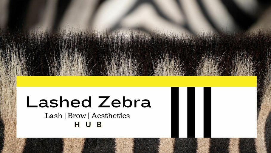 Lashed Zebra, bild 1