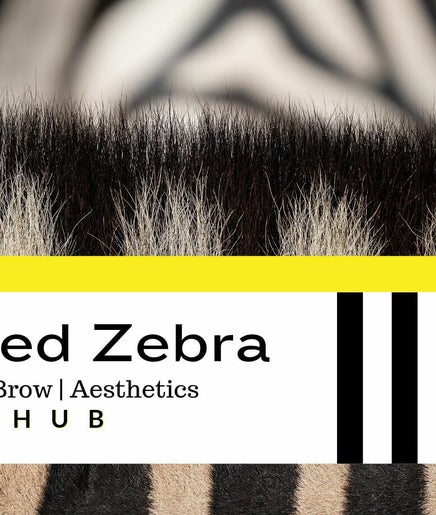 Lashed Zebra, bild 2