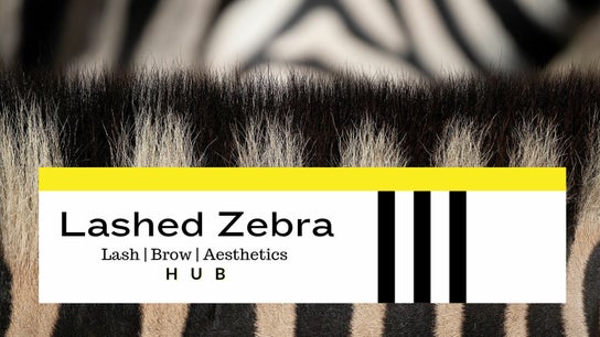 Lashed Zebra