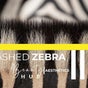 Lashed Zebra