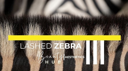 Lashed Zebra