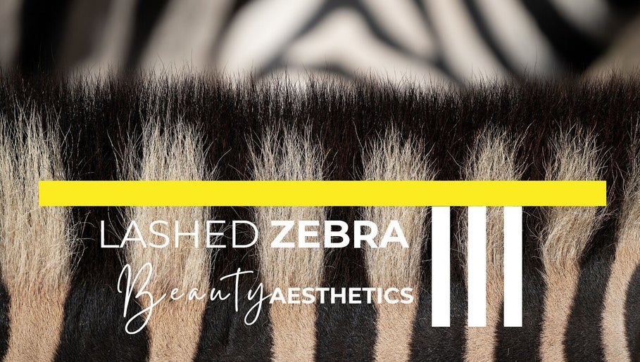 Lashed Zebra, bild 1