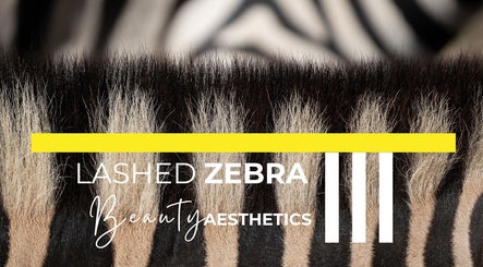 Lashed Zebra