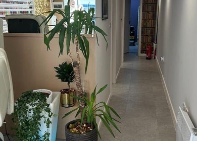 Modern Goddess Zone corridor with plants and seating, Brighton And Hove, England, GB.
