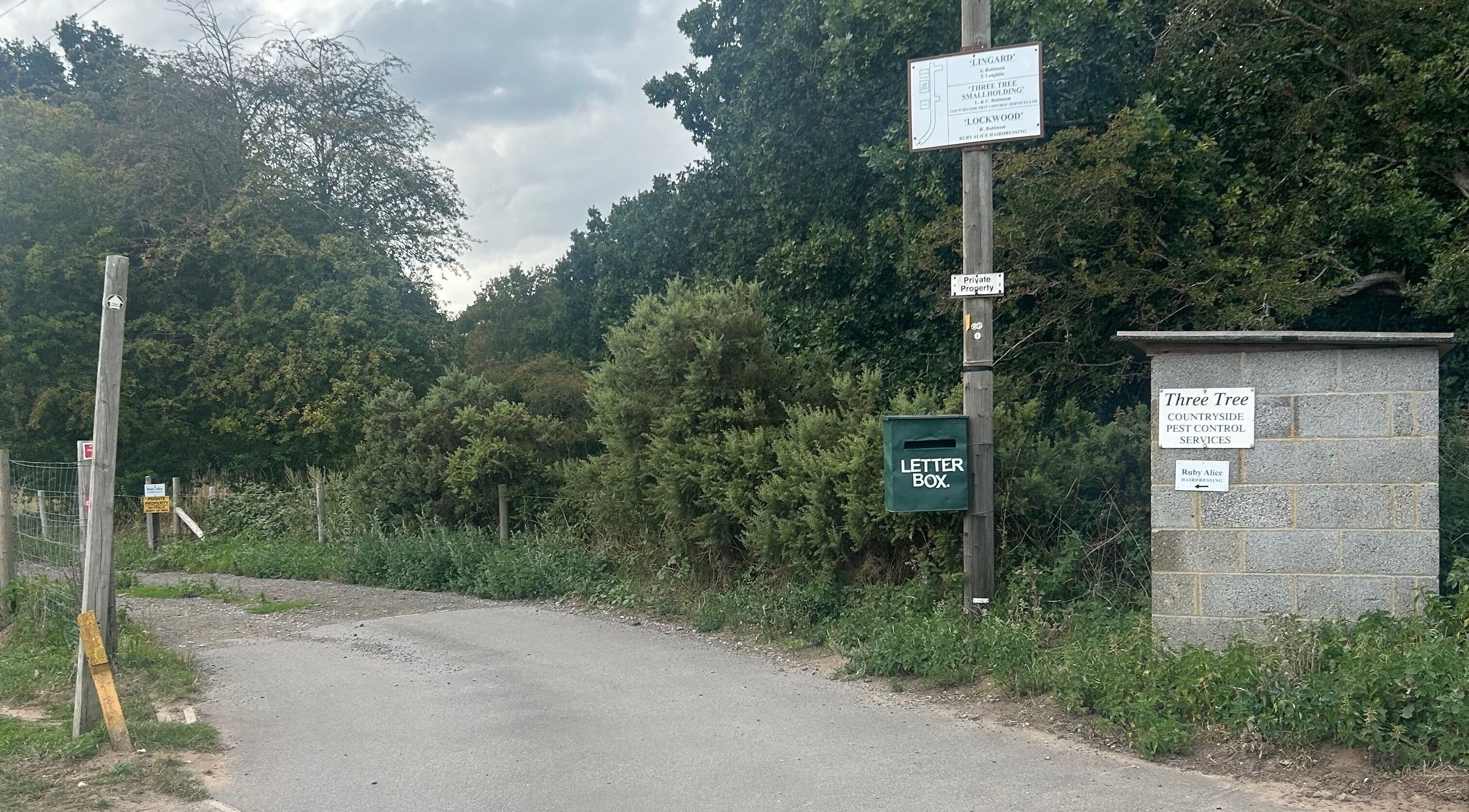 Entrance near Ruby Alice Hair in Broughton, England, GB with greenery and signage.