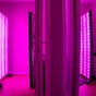 The Light Therapy Lounge