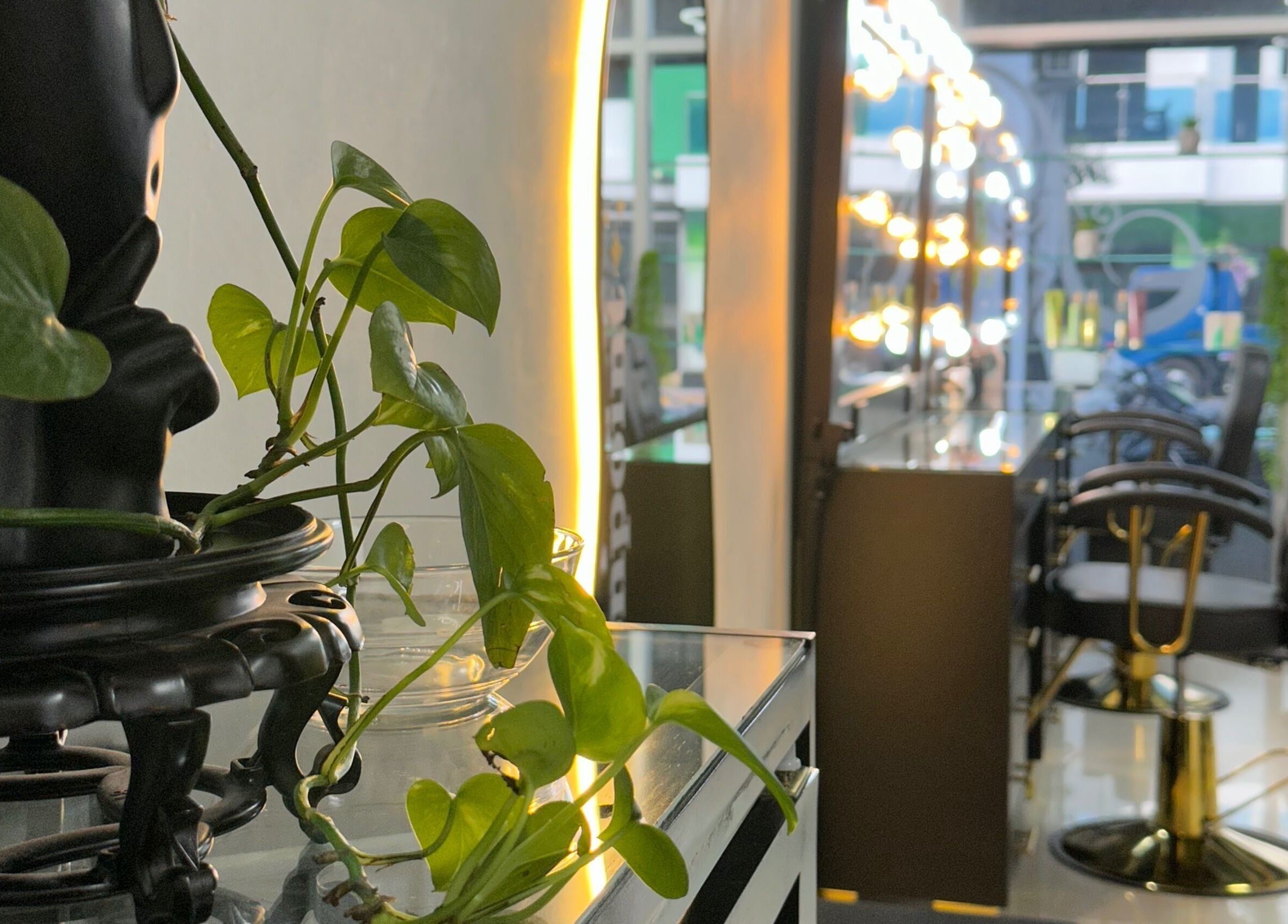 Interior elegante de La Cabina de María, La Vega, con plantas y tocadores iluminados.