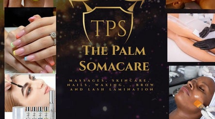 The Palm Somacare