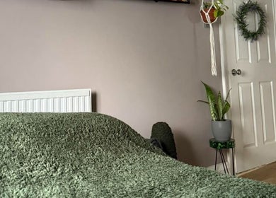 Calming green room at Wellbeing with Jaydene at Jaydene’s Home, York, England, GB featuring lush decor.