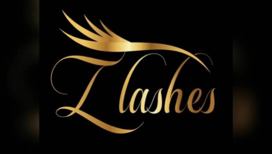 Zlashes image 1