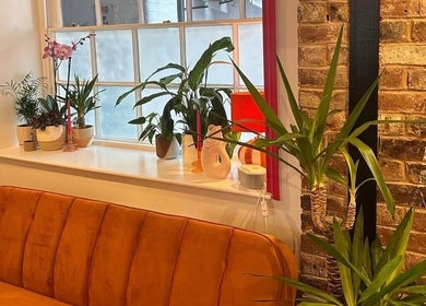Warm lounge area with plants at Alexia Constantin Beauty, Hereford, England, GB.