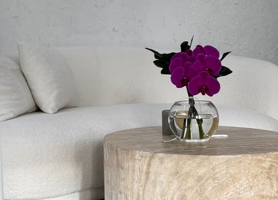 Modern white couch with vibrant orchid vase at Edge Brows, Sydney, New South Wales, AU.
