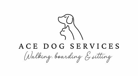 ACE dog services