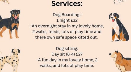 ACE dog services afbeelding 3