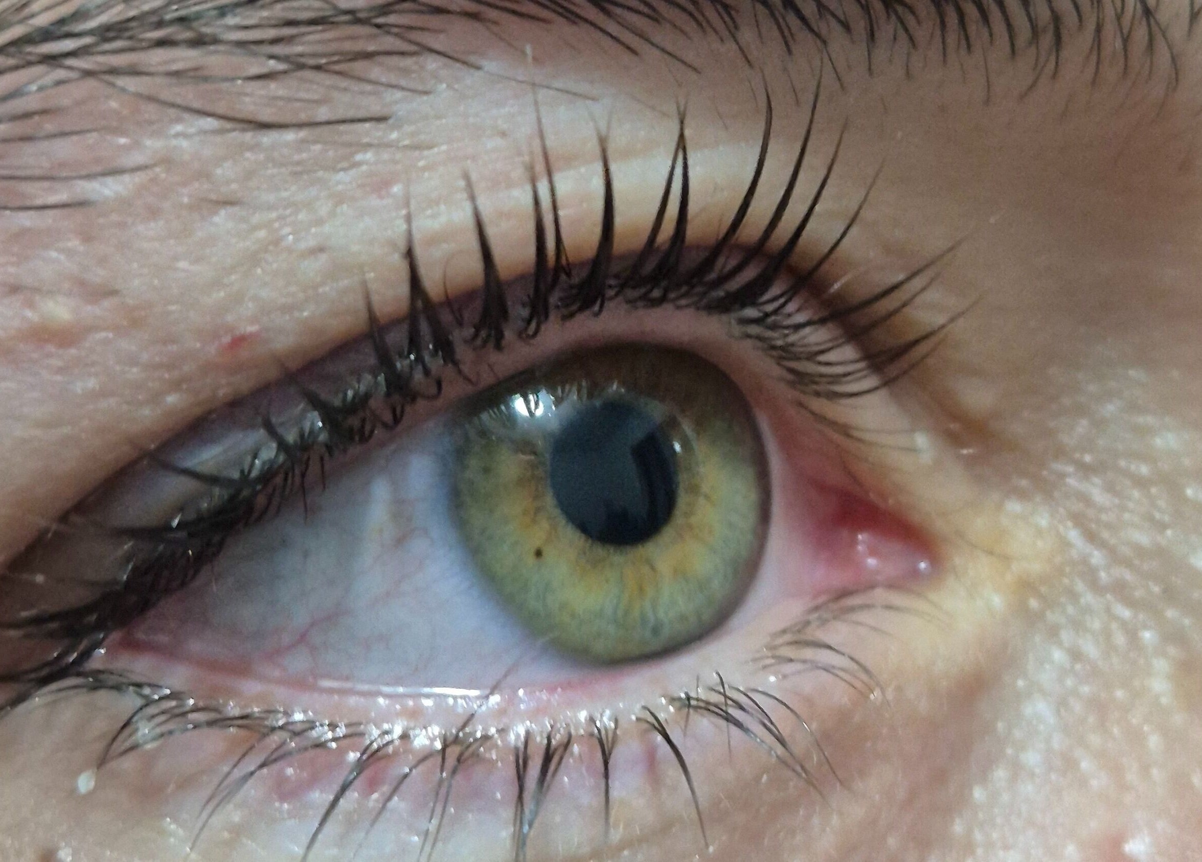 Close-up of eye after lash treatment at Glam - Luxe by Lina E., Victoria Park, Western Australia, AU.