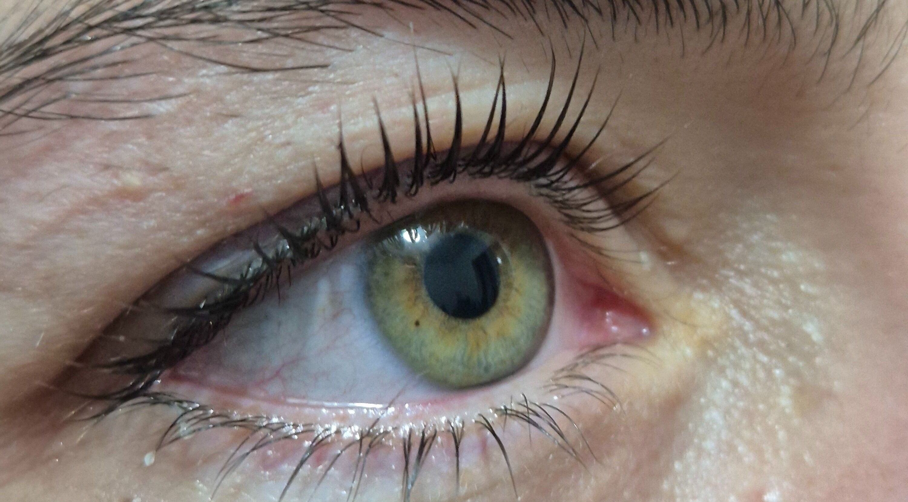 Close-up of eye after lash treatment at Glam - Luxe by Lina E., Victoria Park, Western Australia, AU.