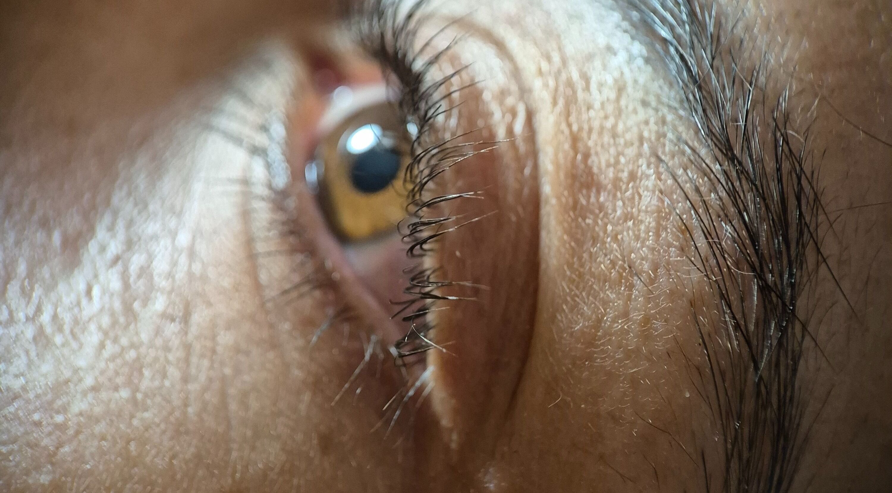 Close-up of a beautifully detailed eye at Glam - Luxe by Lina E., Victoria Park, Western Australia, AU.