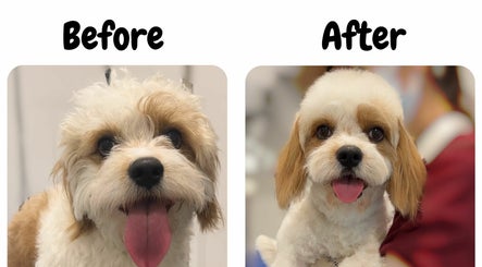 Pawfect Pet Grooming Salon image 2