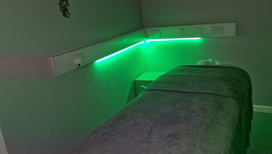 Holis-Tech Wellness图像1