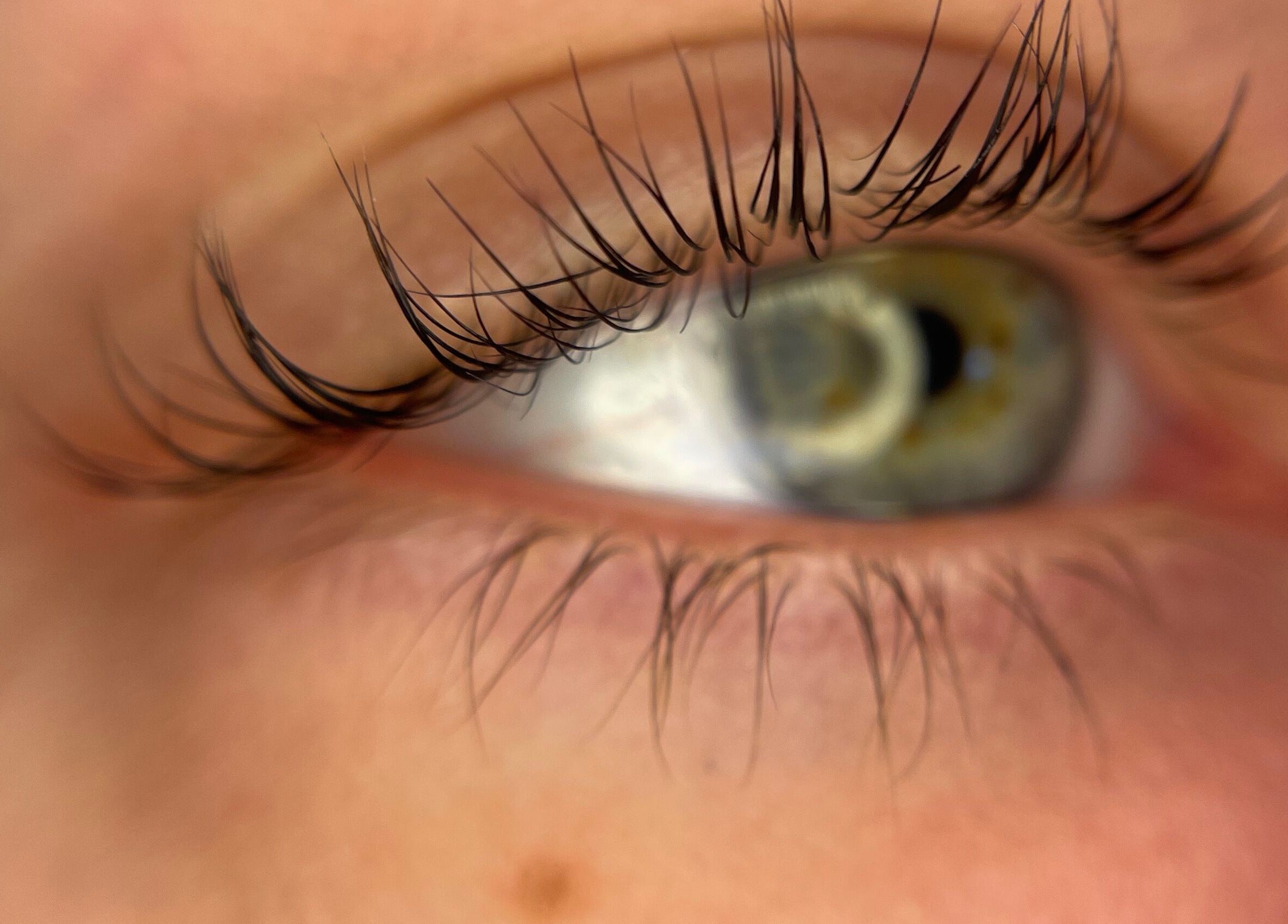 Close-up of a beautifully enhanced eyelash at Daisy Lane Esthetics, Port Alberni, British Columbia, CA.