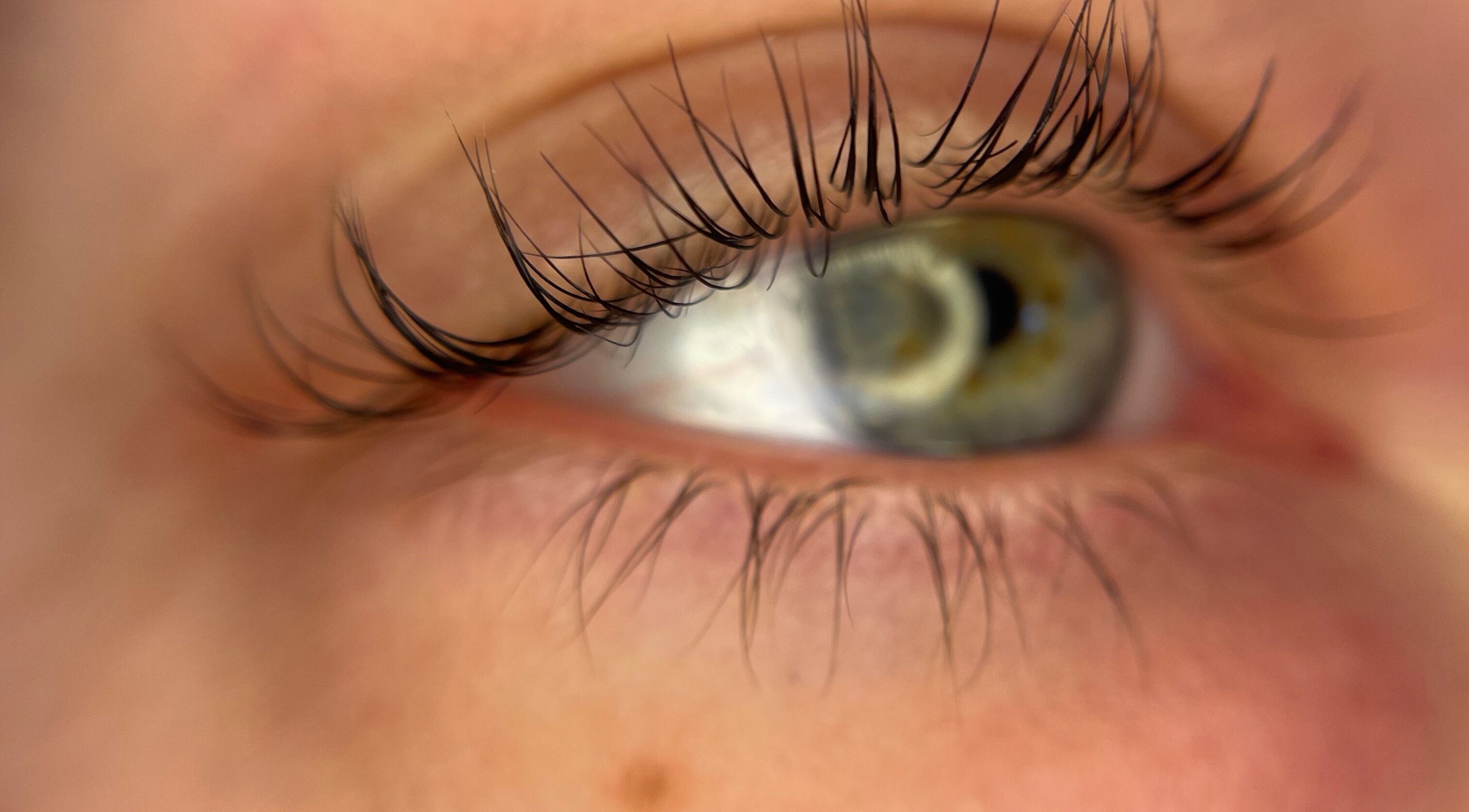 Close-up of a beautifully enhanced eyelash at Daisy Lane Esthetics, Port Alberni, British Columbia, CA.