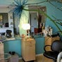 The Palms Salon and Day Spa, LLC - 501 North Ridgewood Avenue, #D, Sanchez Shepard, Edgewater, Florida