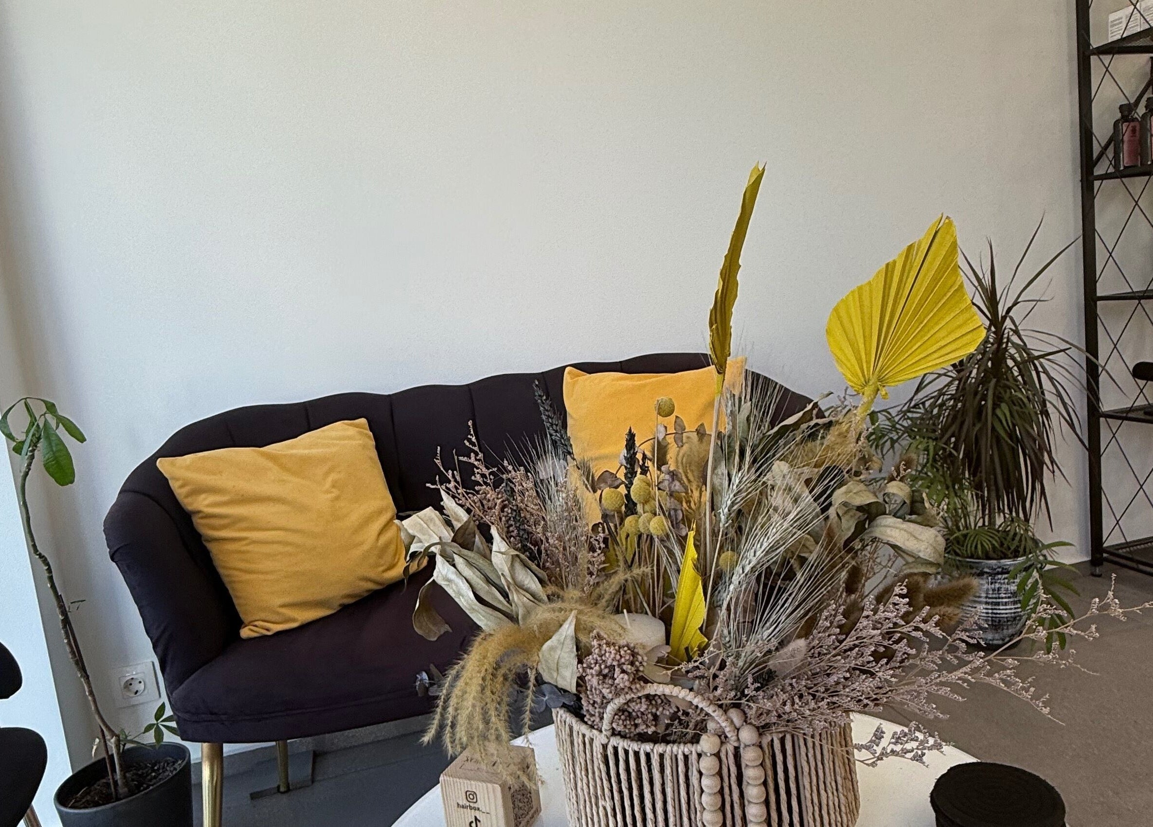 Άνετο σαλόνι στο Hairbox, Πυλαία, GR με φυτά και μαξιλάρια.