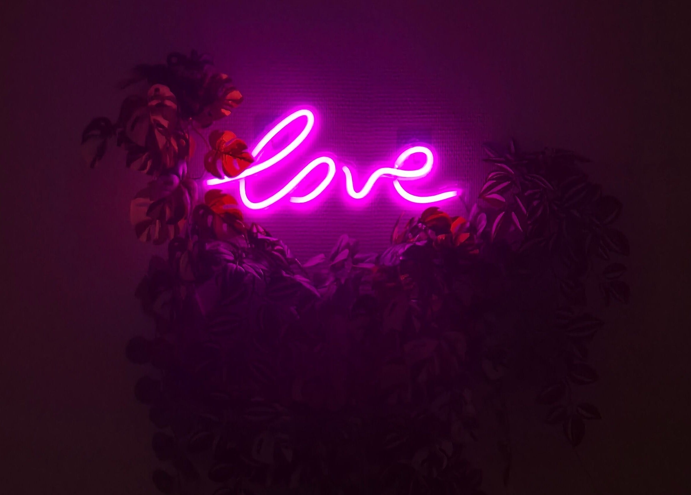 Enseigne néon 'love' à LéaÔnaturae, Orléans, Centre-val De Loire, FR, entourée de feuillage.