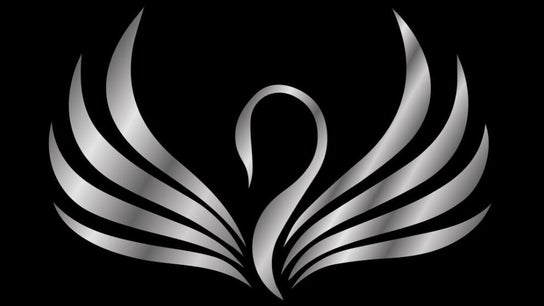 Black Swan Beauty & Academy