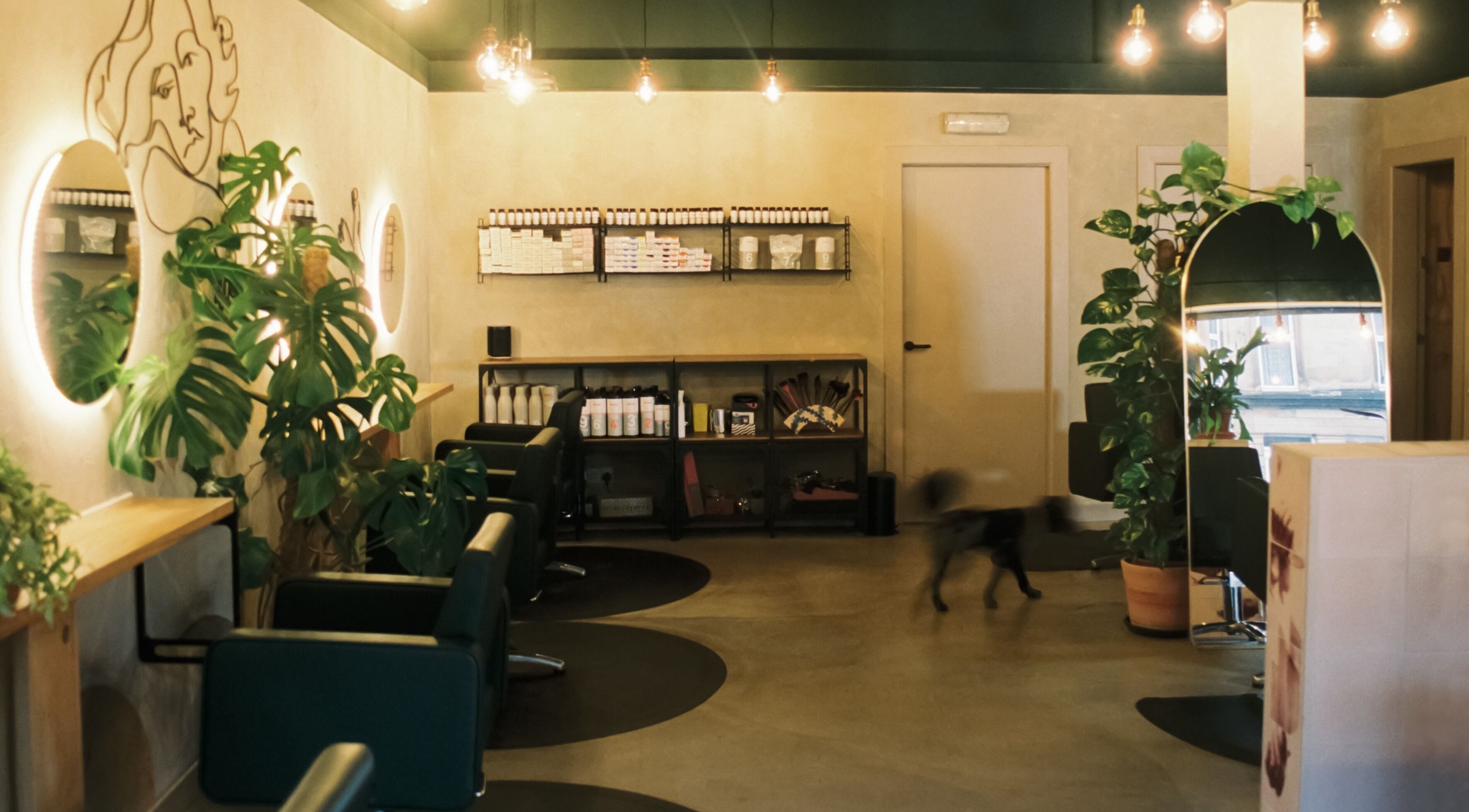 Modern salon interior at Cùrlach, Glasgow, Scotland, GB with lush plants and stylish seating.