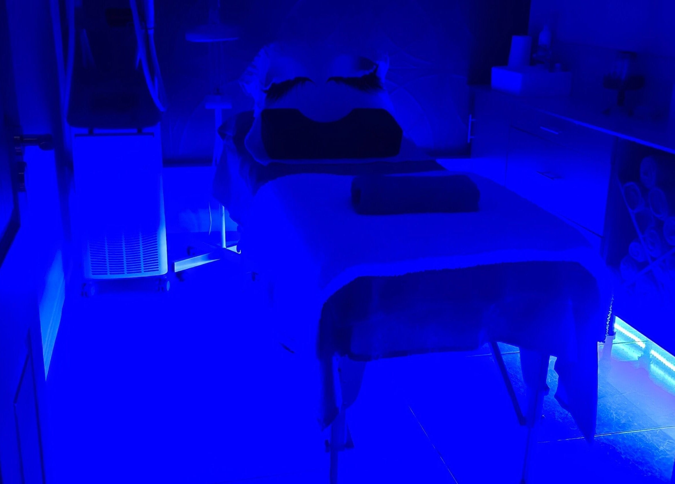 Relaxing treatment room at I Lipo Lab Modimall, Modimolle, Limpopo, ZA bathed in soothing blue light.