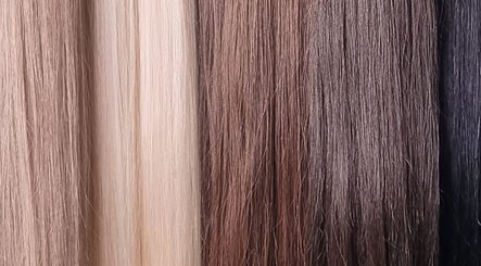 Agness hair extensions