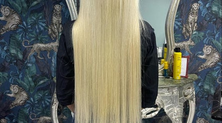 Agness hair extensions изображение 3