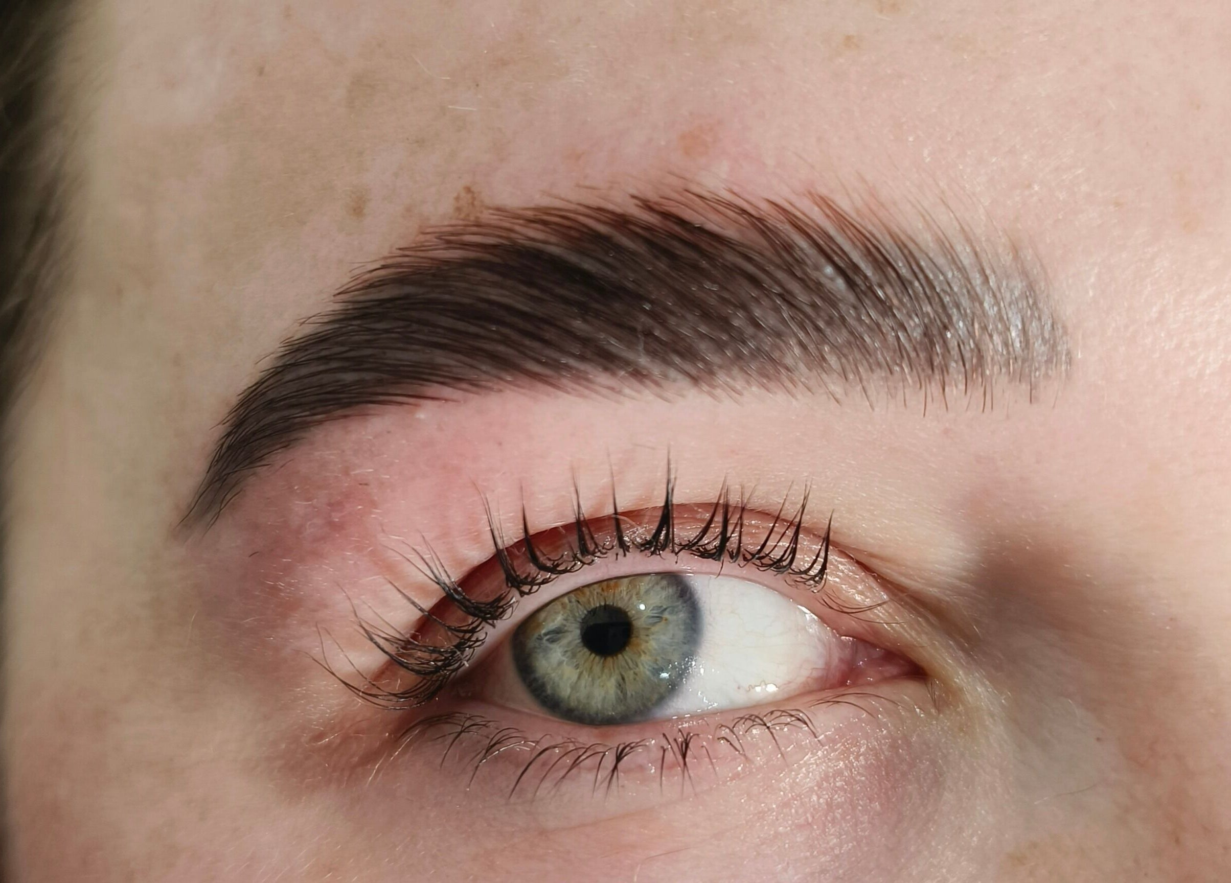 Close-up of expertly shaped brows at Bliss Brow & Beauty Bar in Melbourne, Victoria, AU.