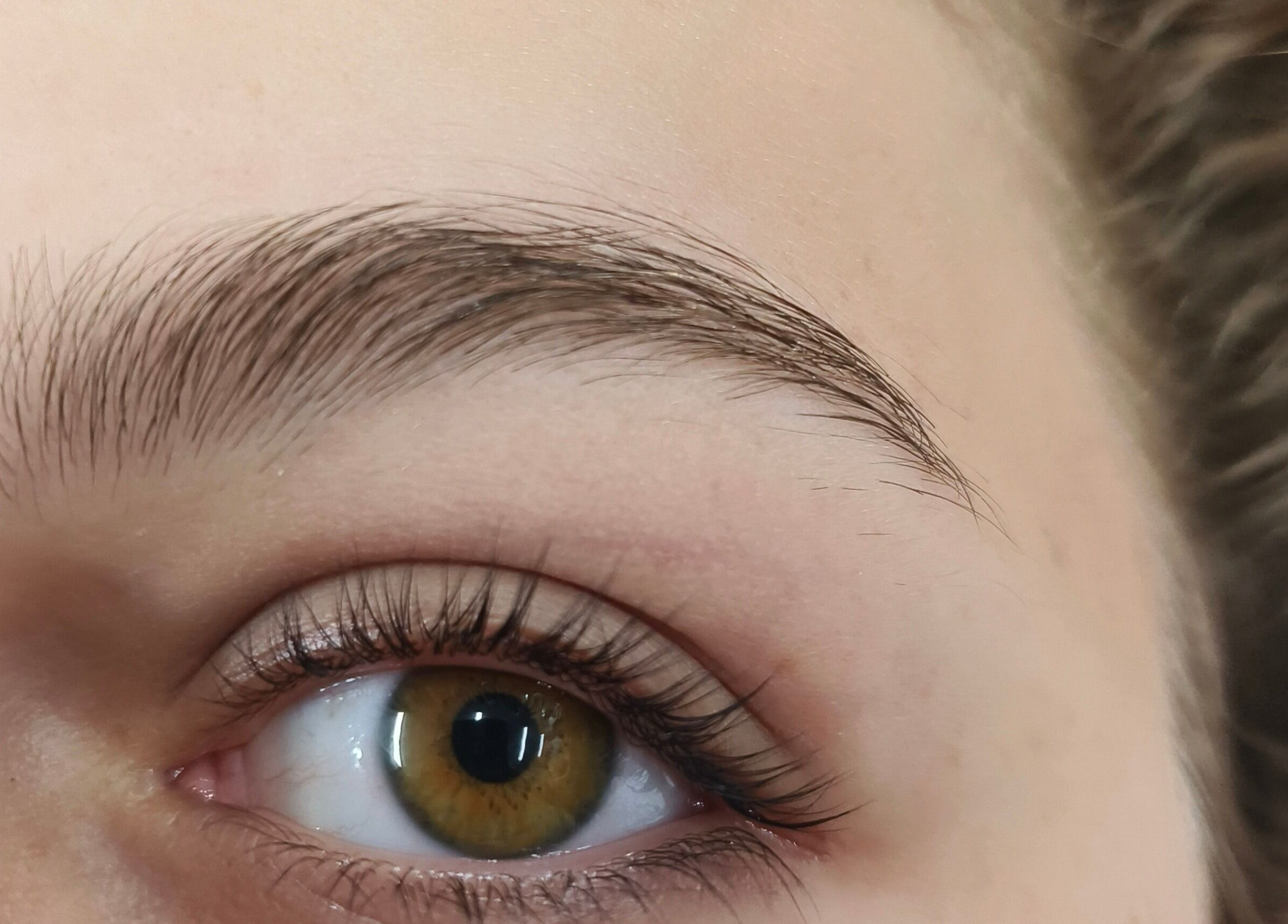 Perfectly shaped brow at Bliss Brow & Beauty Bar, Melbourne, Victoria, AU showcasing expert eyebrow care.