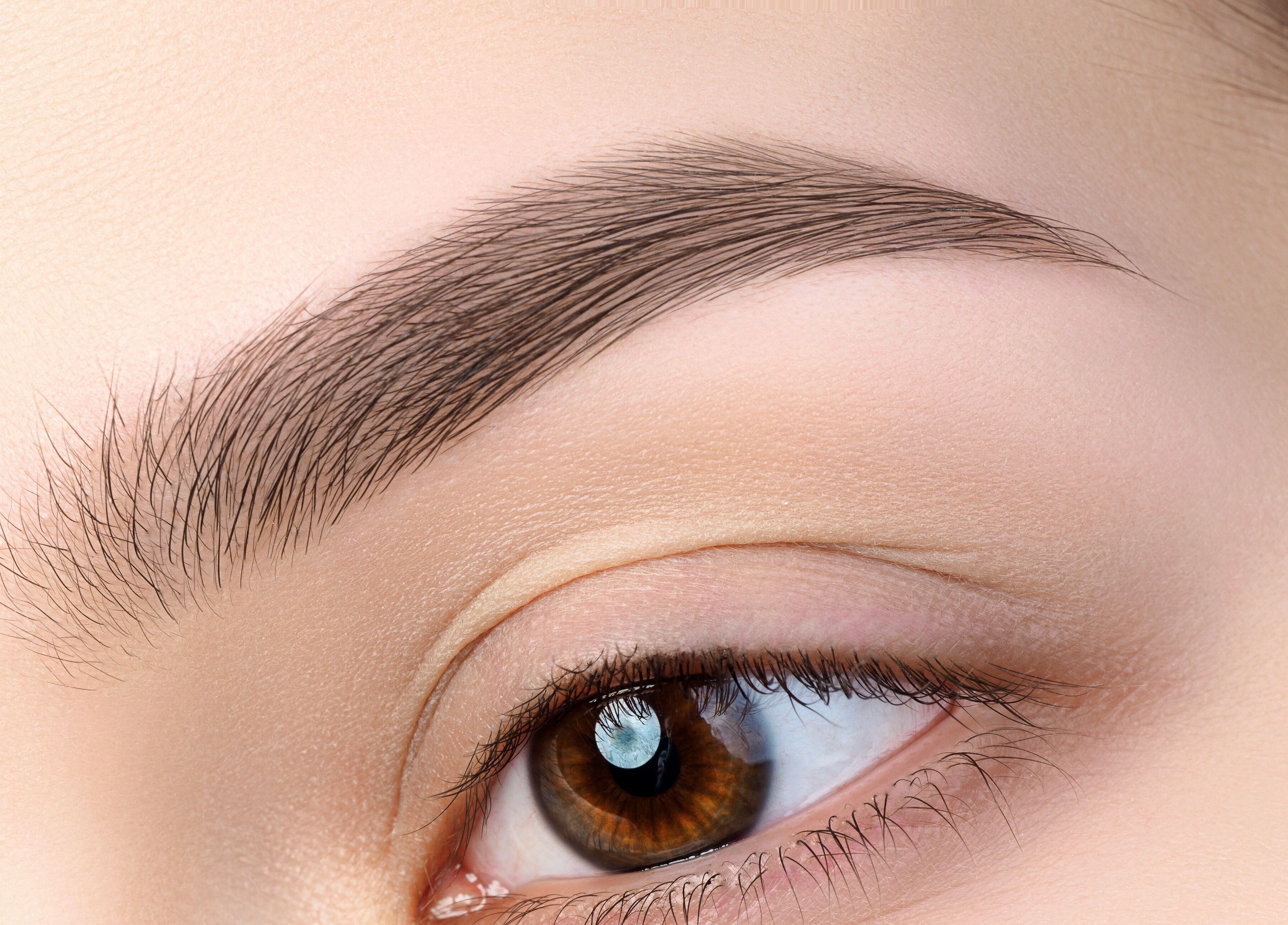 Close-up of a perfectly shaped eyebrow at Bliss Brow & Beauty Bar, Melbourne, Victoria, AU.