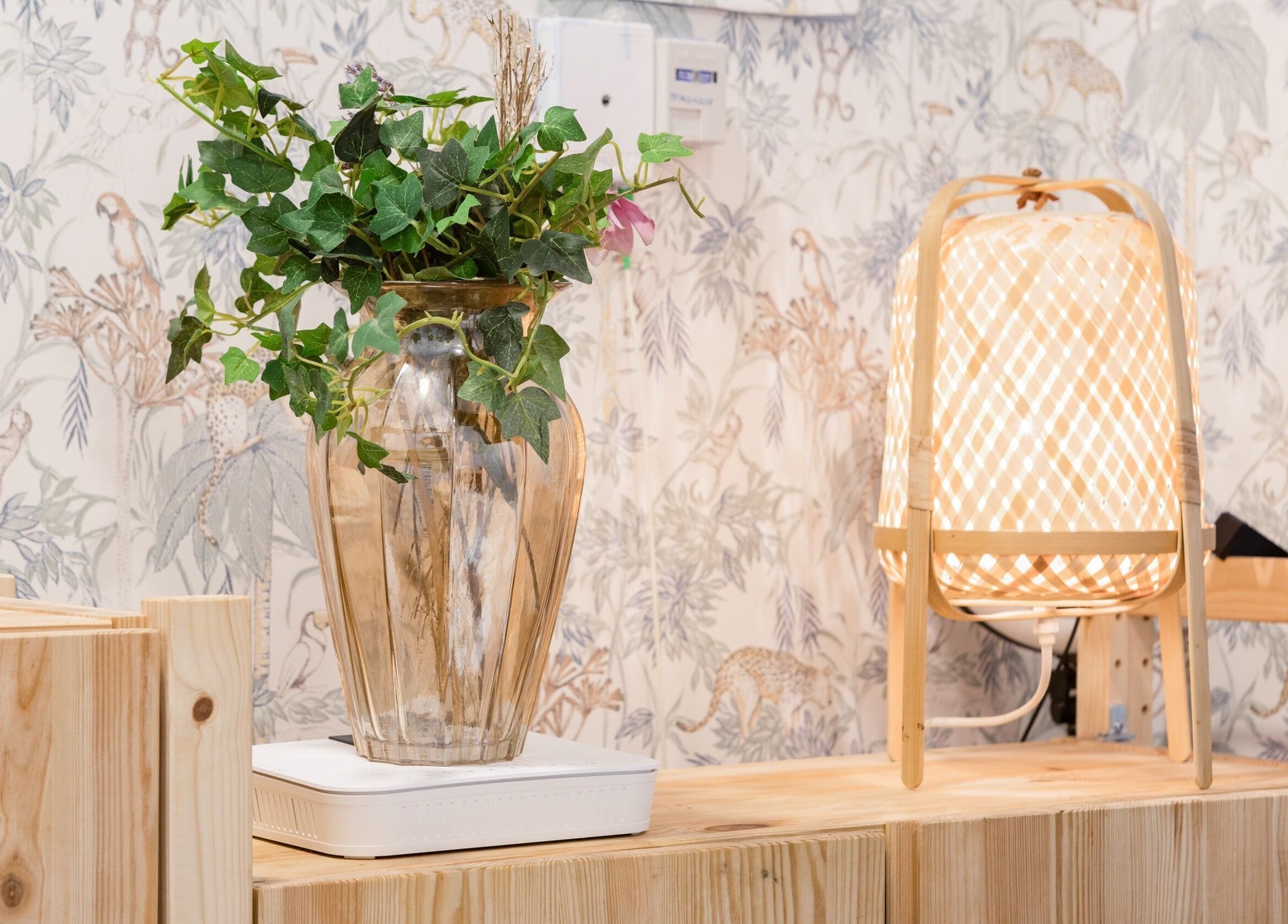 Decoración de La Esmaltería, Madrid, Comunidad De Madrid, ES: lámpara cálida y planta en jarrón sobre madera.