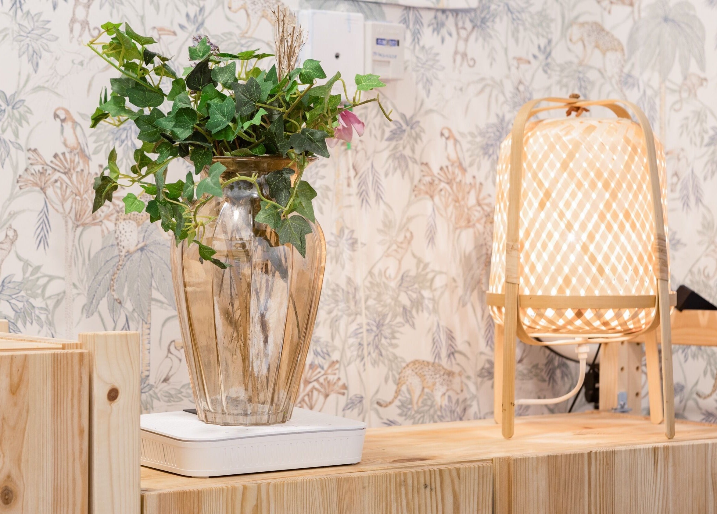 Decoración de La Esmaltería, Madrid, Comunidad De Madrid, ES: lámpara cálida y planta en jarrón sobre madera.