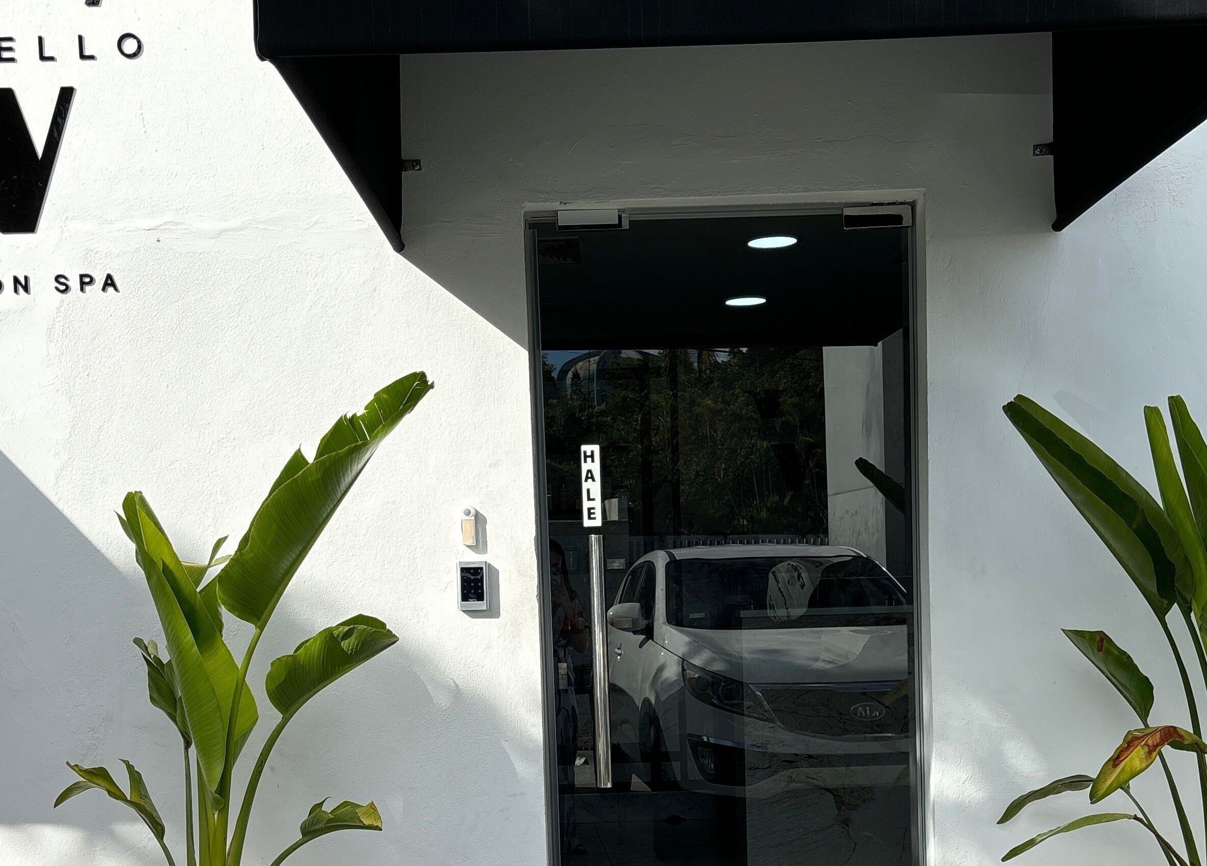 Entrada moderna del salón Vitiello en Santo Domingo, Distrito Nacional, DO con plantas decorativas.