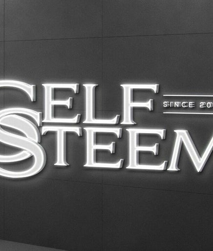 Self Steem image 2