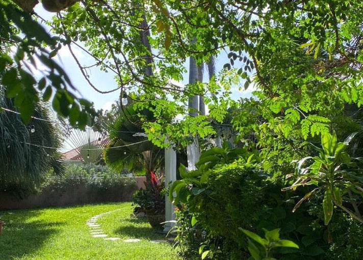 Weelderige tuin bij Pura Vida by Johanny, Willemstad, Curaçao, CW, ideaal voor wellness en ontspanning.