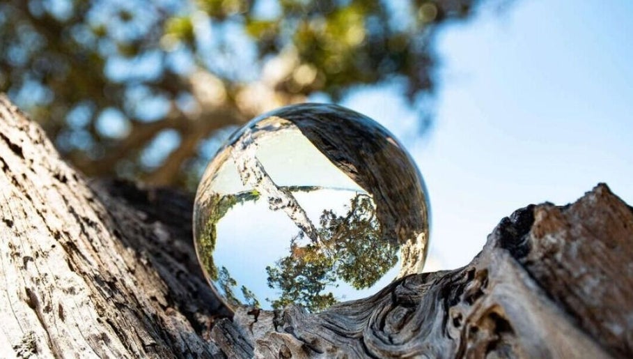 A mystical glass orb reflecting nature at Fly Taurus Enchantress Tarot, Boyds, Maryland, US.