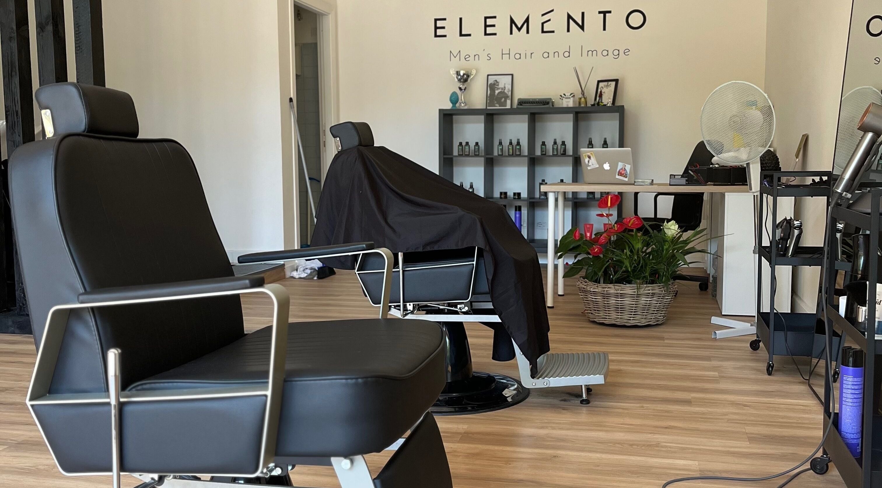 Interno di Elemento Men’s Hair and Image a Capranica, Lazio, IT con poltrone e piante decorative.