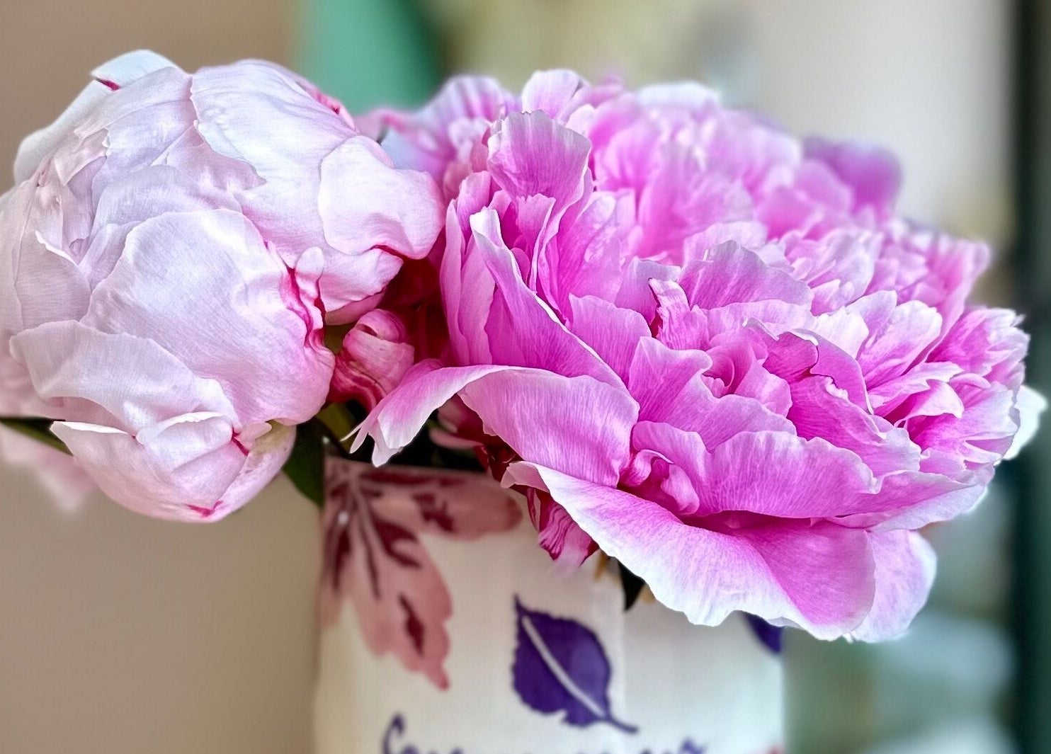 Fresh pink peonies in a vase at Summer Eva Nafferton, Nafferton, England, GB.