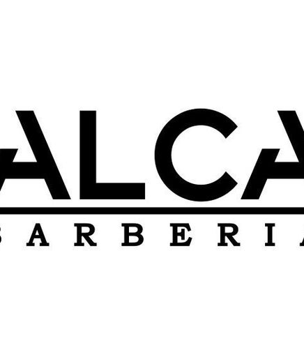 Alca barberia image 2