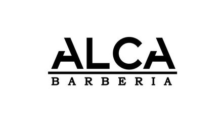 Alca barberia