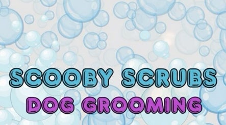 Scooby Scrubs logo with bubbles, located in Melbourne, Victoria, AU. Dog grooming service.